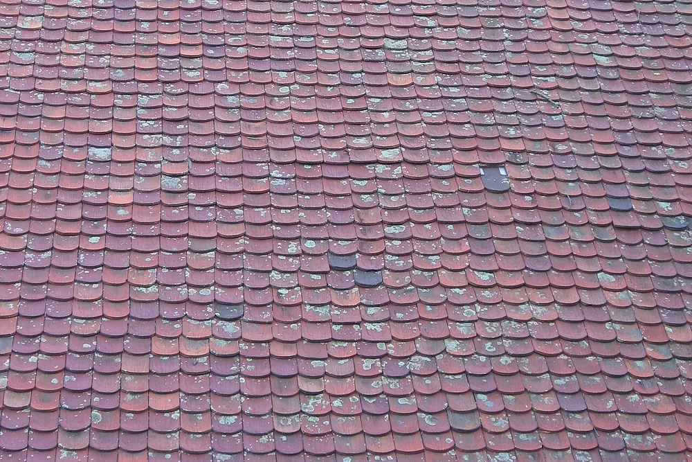 Roof exterior