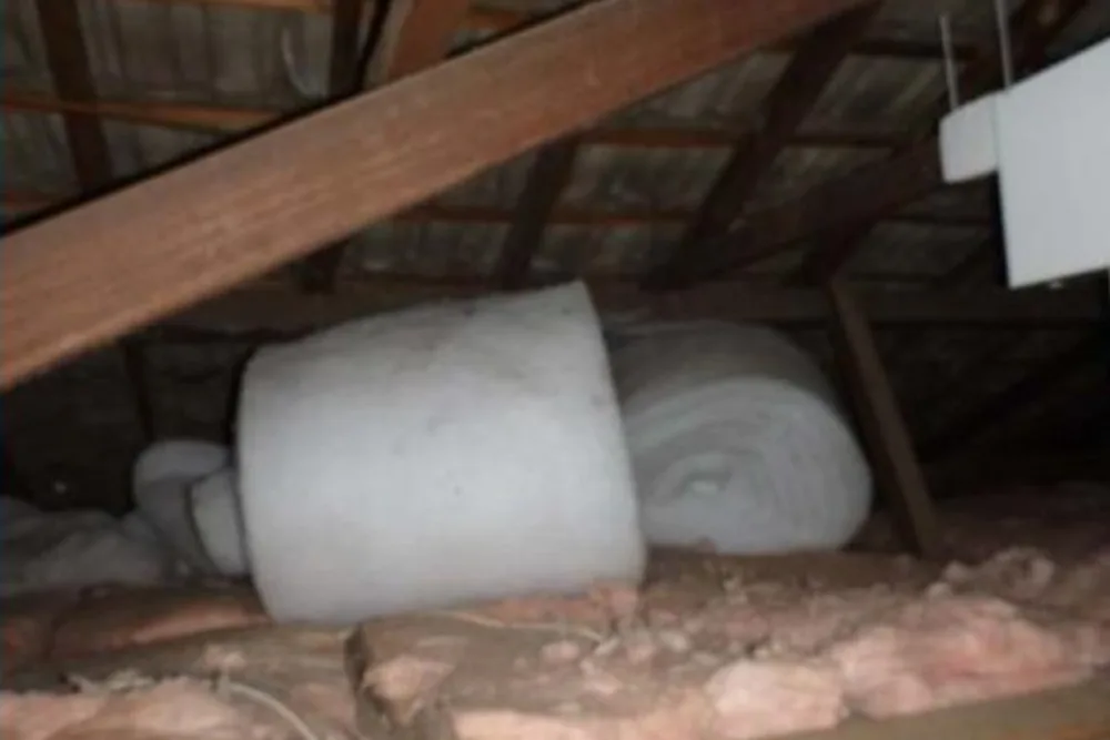 Roof voids reviewed for timber and moisture clues